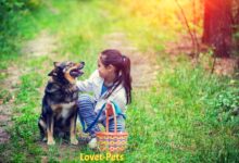 Health and Happiness: A Guide to Pet Well-Being