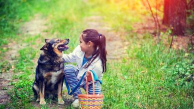 Health and Happiness: A Guide to Pet Well-Being