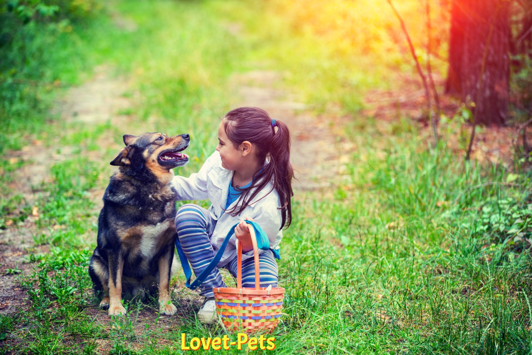 Health and Happiness: A Guide to Pet Well-Being