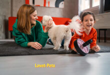 Training Tails: A Behavioral Guide for Pet Parents