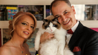 Paws and Celebs: Meet the Famous Felines and Canine Stars