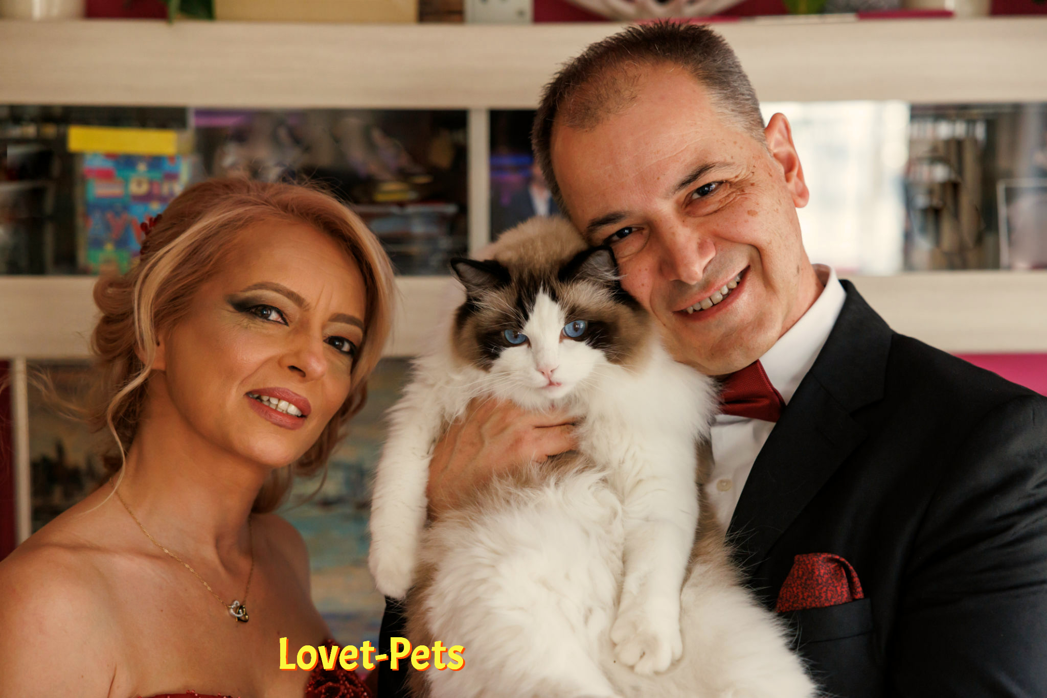 Paws and Celebs: Meet the Famous Felines and Canine Stars